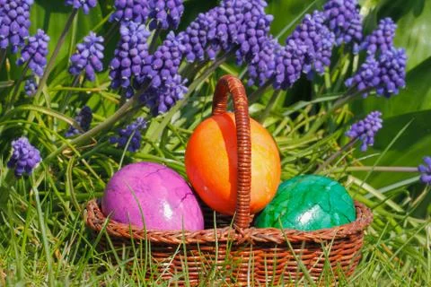 Easter eggs Stock Photos