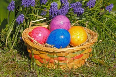 Easter eggs Stock Photos