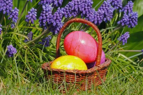 Easter eggs Stock Photos