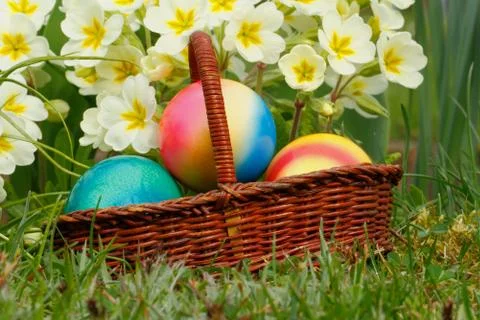 Easter eggs Stock Photos