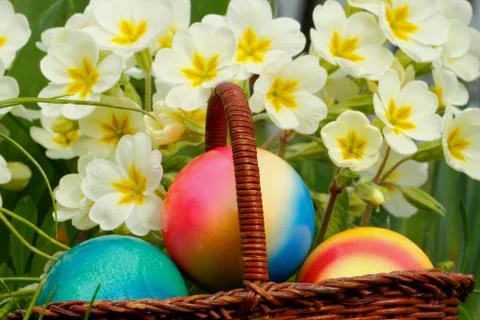 Easter eggs Stock Photos