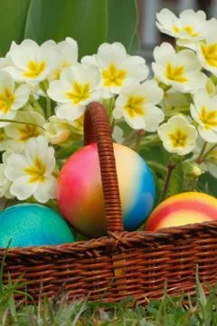 Easter eggs Stock Photos