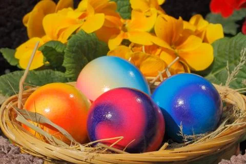 Easter eggs Stock Photos
