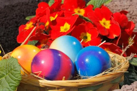 Easter eggs Stock Photos