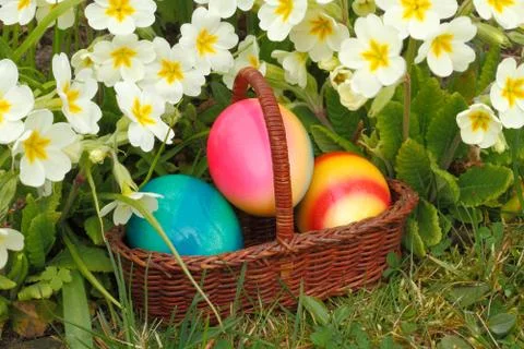 Easter eggs Stock Photos