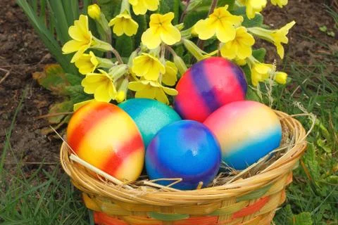 Easter eggs Stock Photos