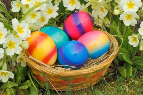 Easter eggs Stock Photos