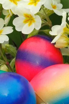 Easter eggs Stock Photos