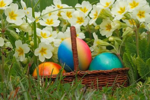 Easter eggs Foto stock