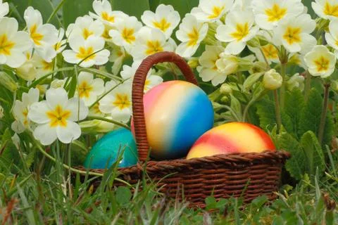 Easter eggs Stock Photos