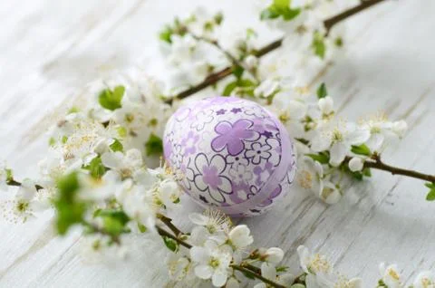 Easter eggs Stock Photos