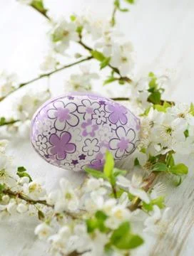 Easter eggs Stock Photos