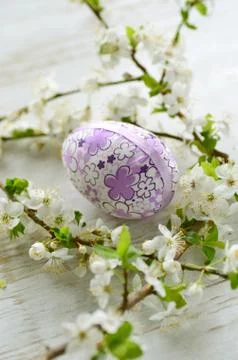 Easter eggs Stock Photos