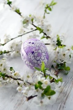 Easter eggs Stock Photos