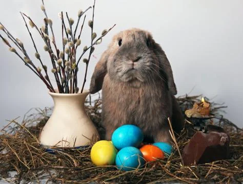 Easter Eggs Stock Photos