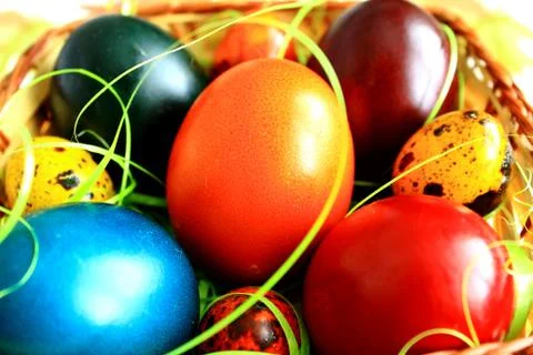 Easter eggs Фото