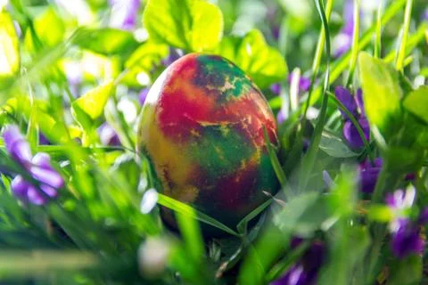 Easter eggs Stock Photos