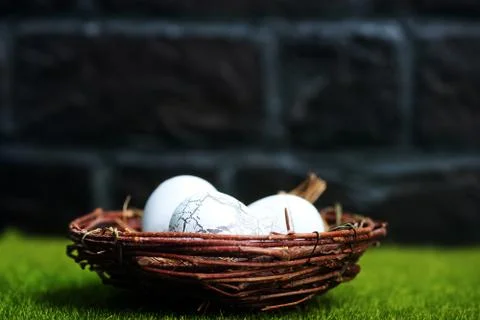 Easter eggs 스톡 사진