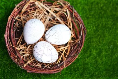 Easter eggs 스톡 사진