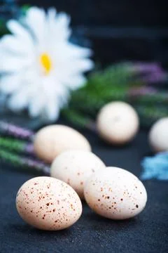 Easter eggs Stock Photos