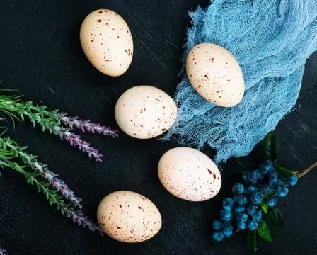 Easter eggs Stock Photos