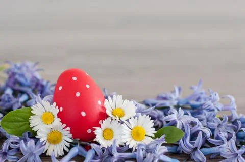 Easter eggs Stock Photos