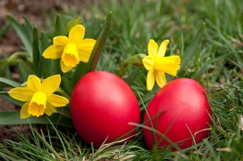 Easter eggs Stock Photos