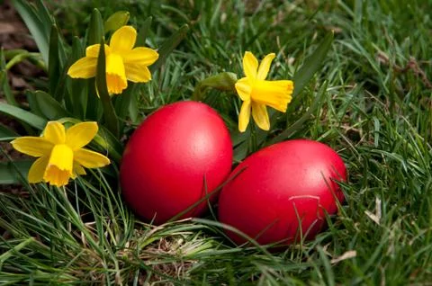 Easter eggs Stock Photos