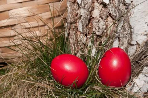 Easter eggs Stock Photos
