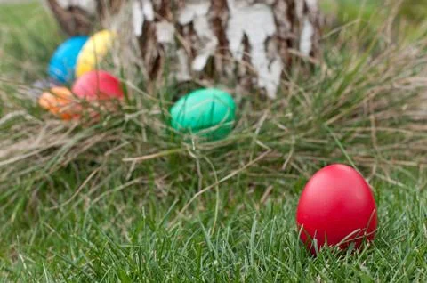 Easter eggs Stock Photos