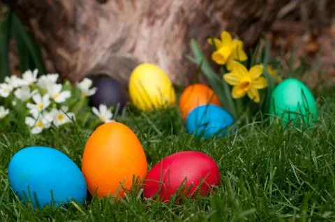 Easter eggs Stock Photos