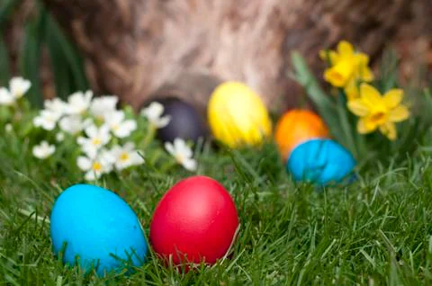 Easter eggs Stock Photos
