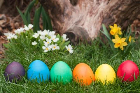 Easter eggs Foto stock