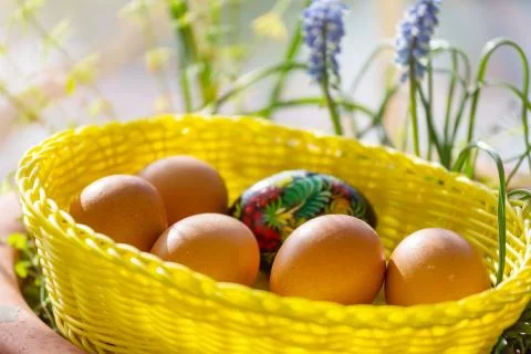 Easter eggs 写真素材