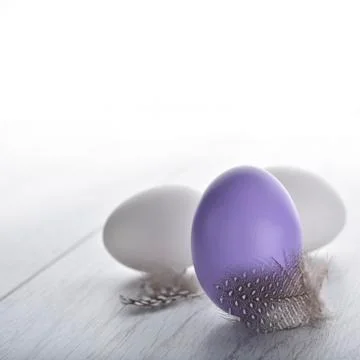 Easter eggs Stock Photos