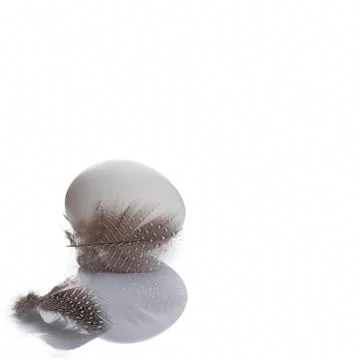 Easter eggs Stock Photos