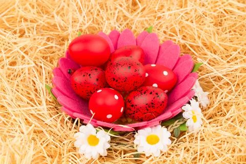 Easter eggs Stock Photos