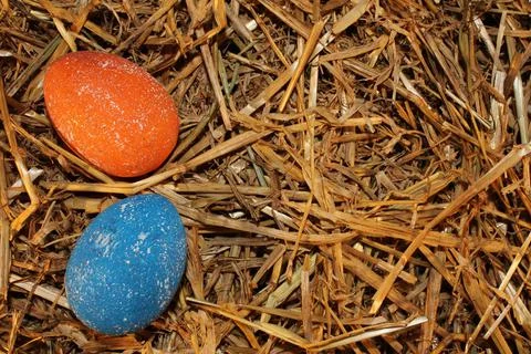 Easter eggs Stock Photos
