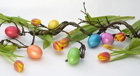 Easter eggs  Stock Photos