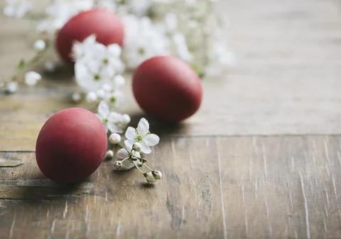 Easter Eggs Stock-Fotos