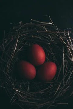 Easter Eggs Foto stock