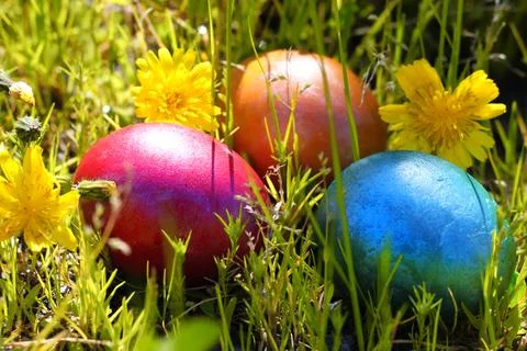Easter eggs Photos