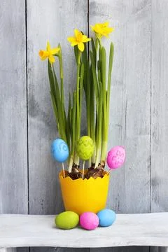 Easter eggs Photos