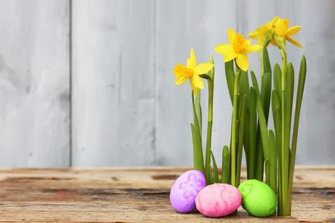 Easter eggs Photos