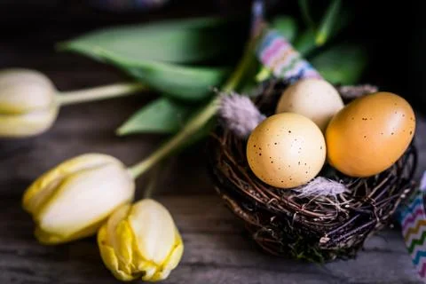 Easter Eggs Stockfoto's