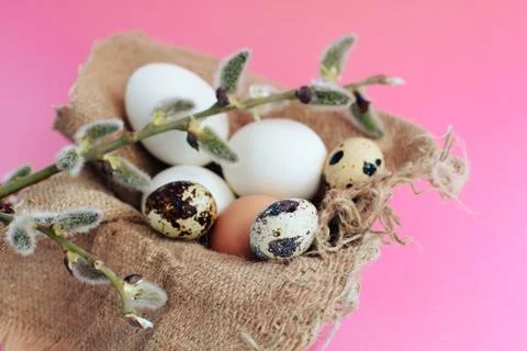 Easter eggs on a pink background with a sprig of willow 스톡 사진