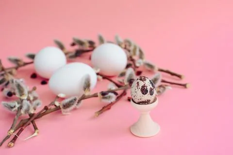 Easter eggs on a pink background with a sprig of willow Stock-Fotos