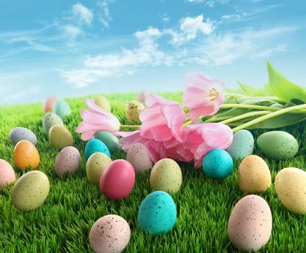 Easter eggs with pink tulips on grass Stock Photos