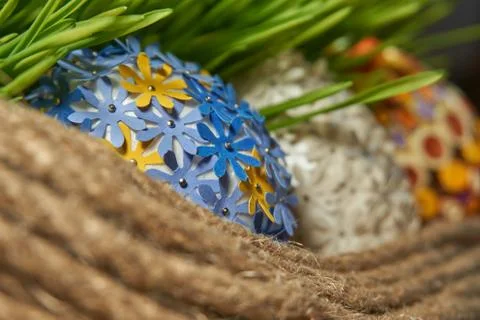 Easter eggs placed between frech wheat germs and rope Stock Photos