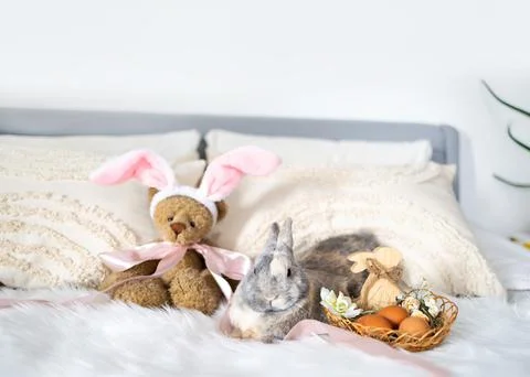 Easter eggs placed in a decorative nest, symbolizing spring celebration Foto stock